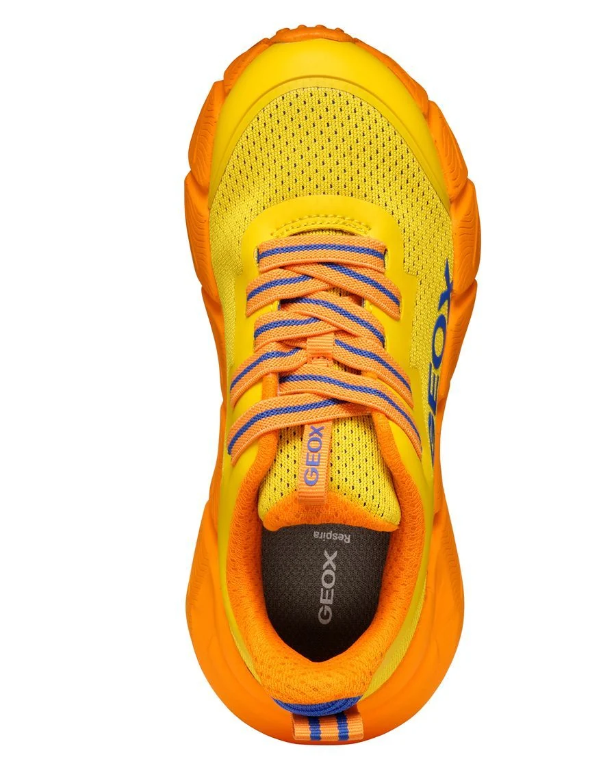FLEXYPER GEOX GARÇON ESPADRILLE - Image 4