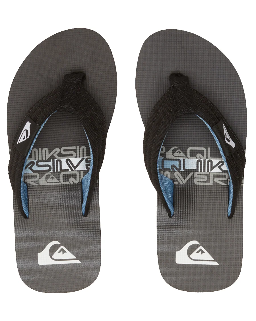 MOLOKAI LAYBACK QUIKSILVER GARÇON GOUGOUNE