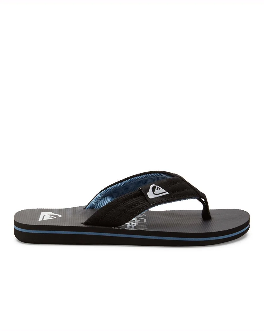 MOLOKAI LAYBACK QUIKSILVER GARÇON GOUGOUNE - Image 2