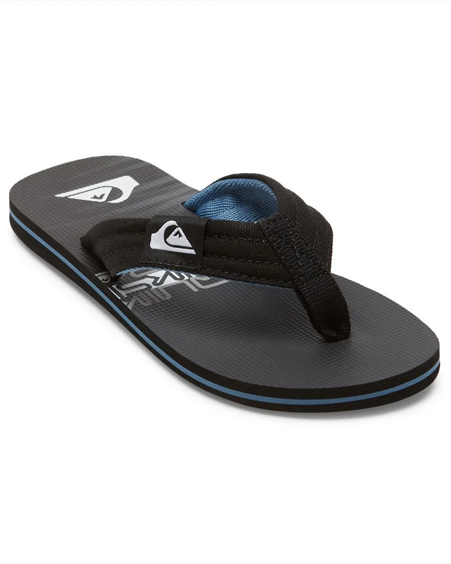 MOLOKAI LAYBACK QUIKSILVER GARÇON GOUGOUNE - Image 3